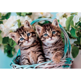 CLEMENTONI 60ч. Пъзел Lovely Kitty Twins 26599